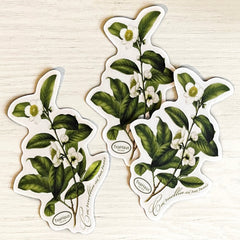 Tea Plant Stickers