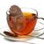 Hedgehog Infuser