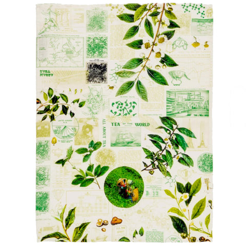 Tea Towel: The Science of Tea